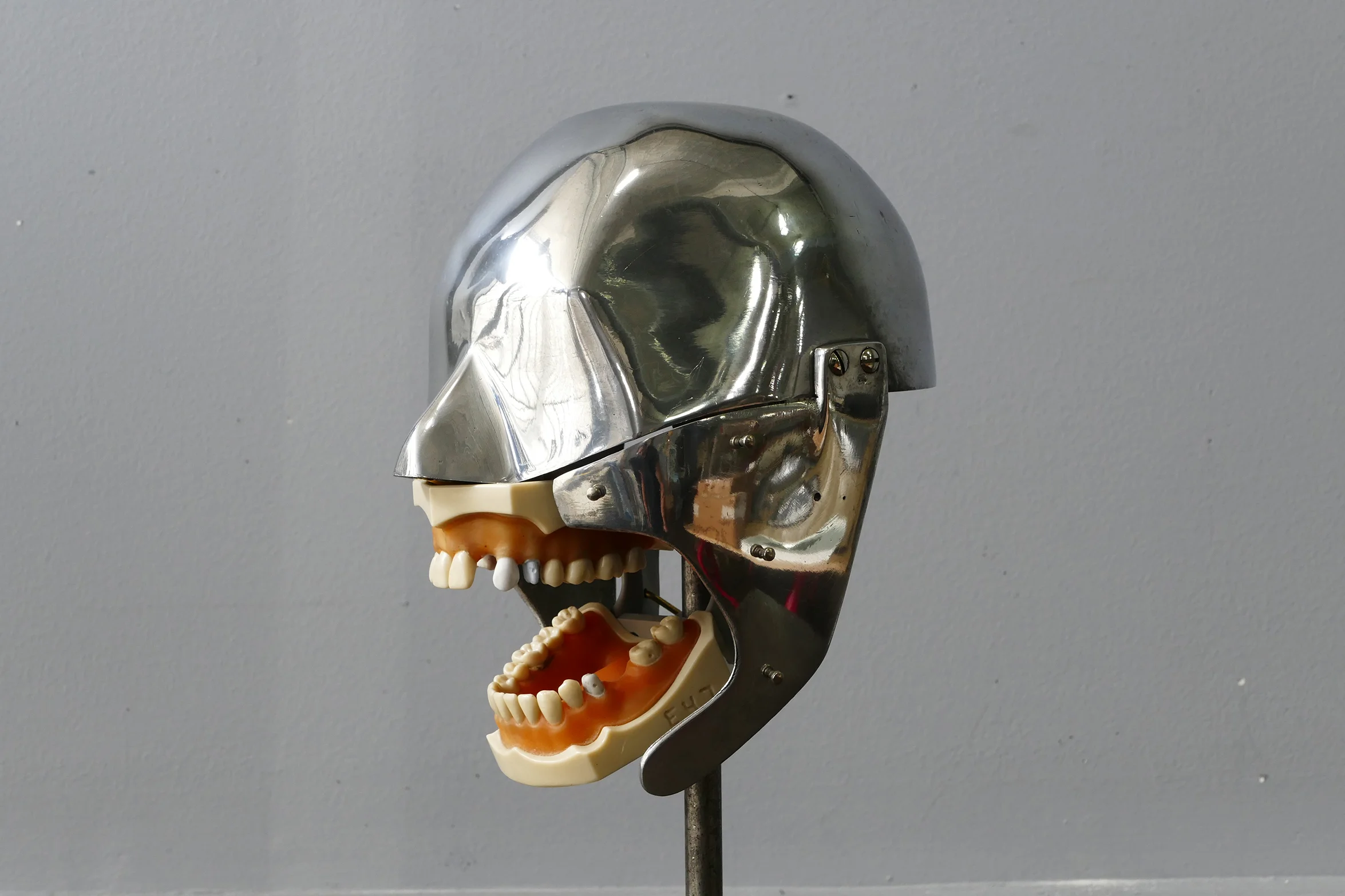1950's Aluminum Dental Phantom — AGENT GALLERY CHICAGO